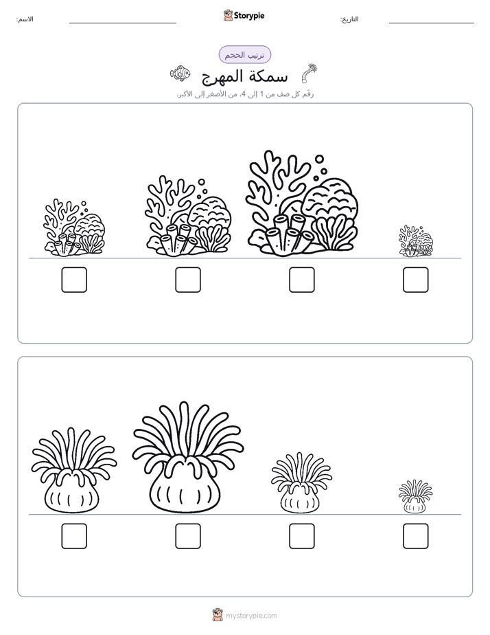 ترتيب الحجم