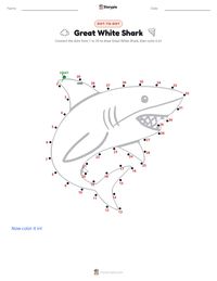 Great White Shark printable worksheet preview