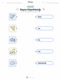Büyük Beyaz Köpekbalığı çocuklar için yazdırılabilir çalışma sayfası