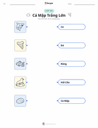 Tài liệu in sẵn Cá Mập Trắng Lớn cho trẻ em