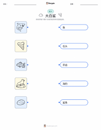 大白鲨 可打印工作表，适合儿童