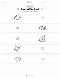 Great White Shark printable worksheet preview