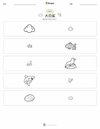 大白鲨 可打印工作表预览
