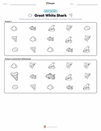 Great White Shark printable worksheet preview