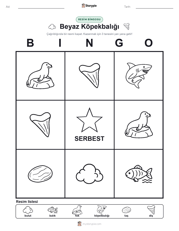 Resim Bingo