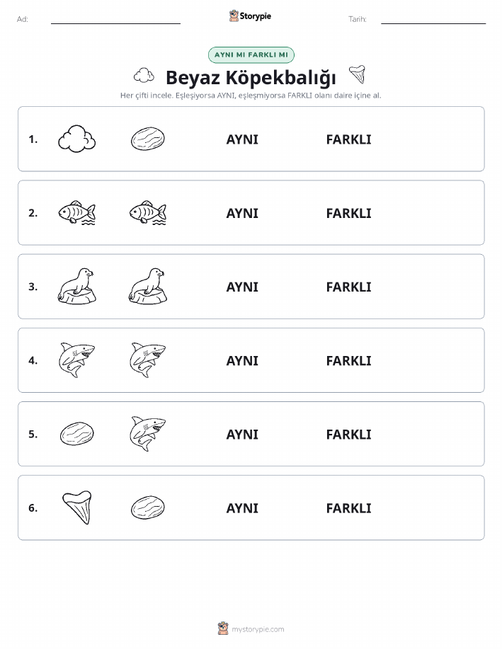 Aynı mı Farklı mı