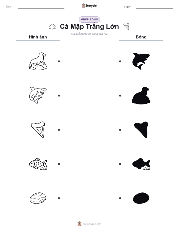 Ghép Hình Bóng