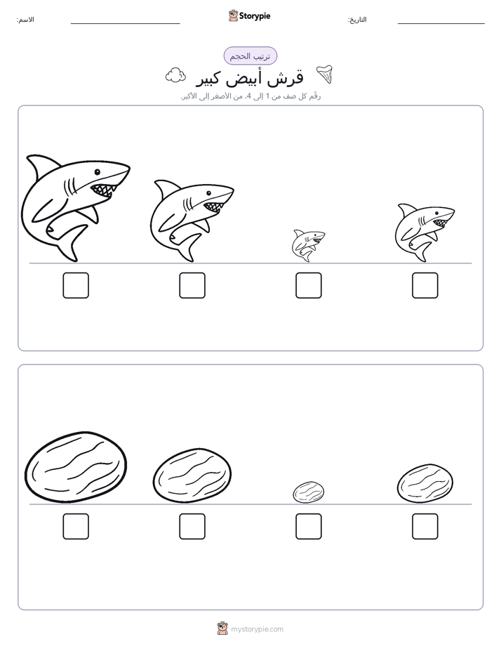 ترتيب الحجم