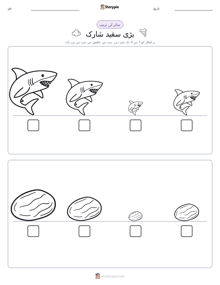 سائز کی ترتیب