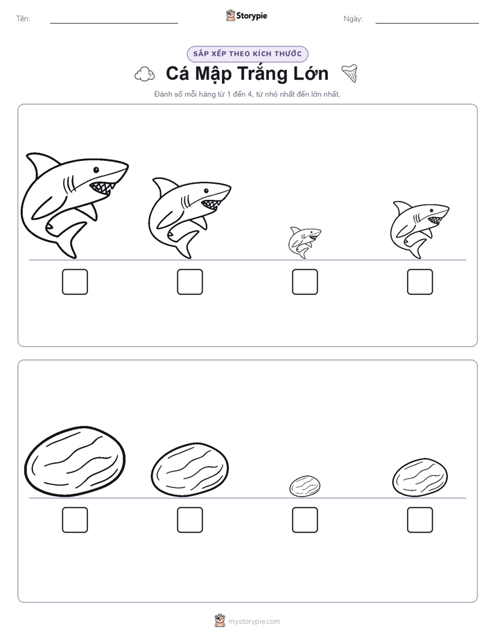 Thứ Tự Kích Thước