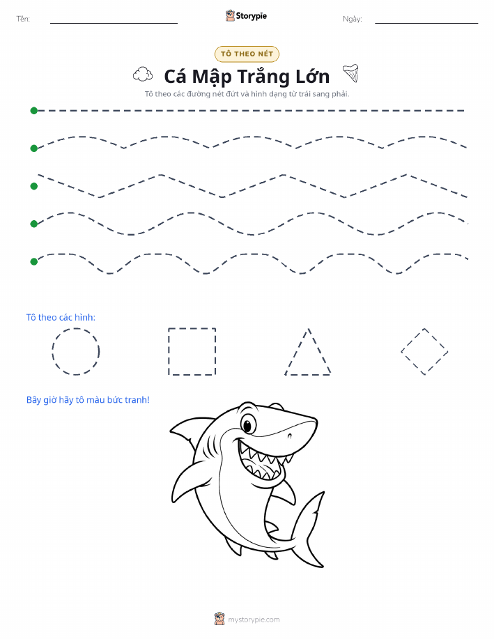 Vẽ Theo Đường
