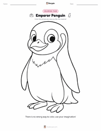 Emperor Penguin coloring page for kids