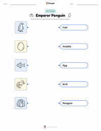 Emperor Penguin printable worksheet for kids