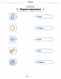 Scheda stampabile di Pinguino Imperatore per bambini