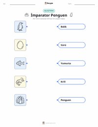 İmparator Penguen çocuklar için yazdırılabilir çalışma sayfası