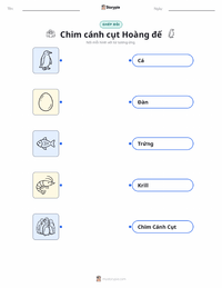 Tài liệu in sẵn Chim cánh cụt Hoàng đế cho trẻ em