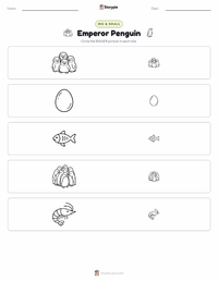 Emperor Penguin printable worksheet preview