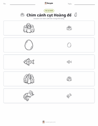 Xem trước tài liệu in sẵn Chim cánh cụt Hoàng đế