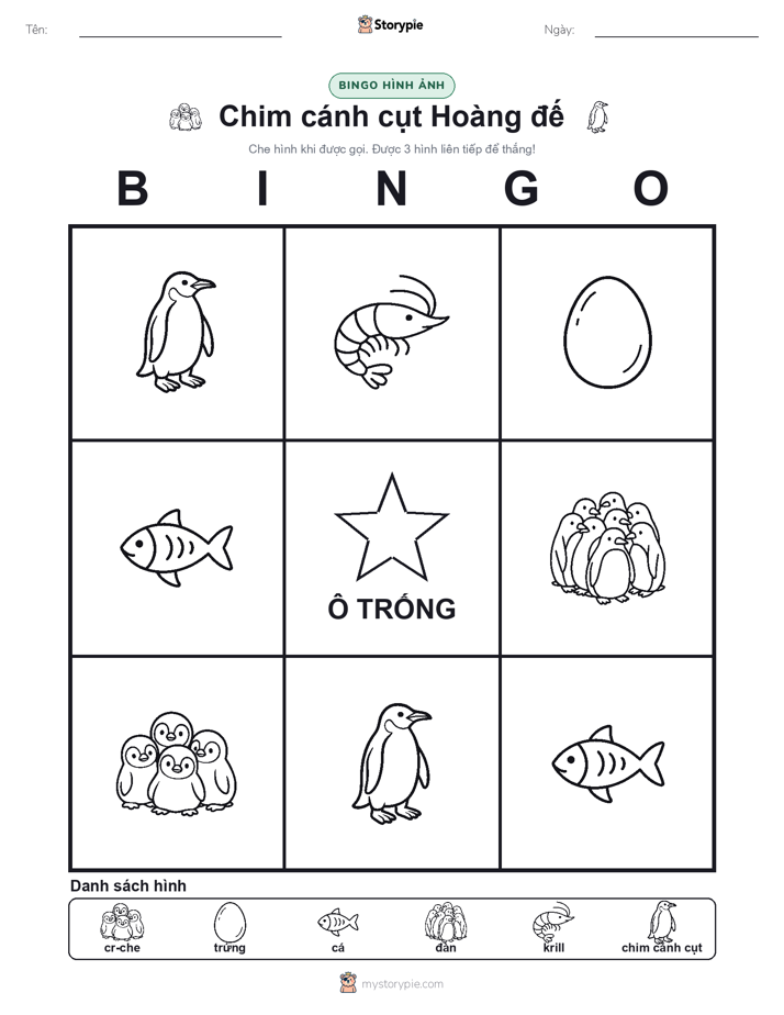 Bingo Hình Ảnh