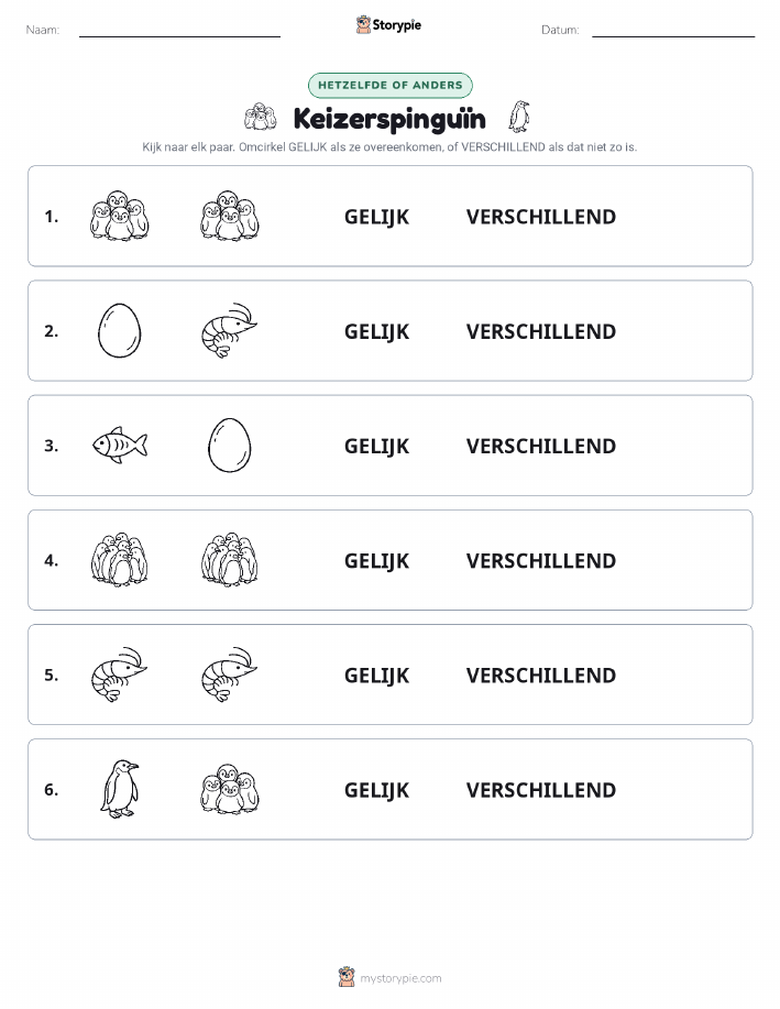 Zelfde of Verschillend