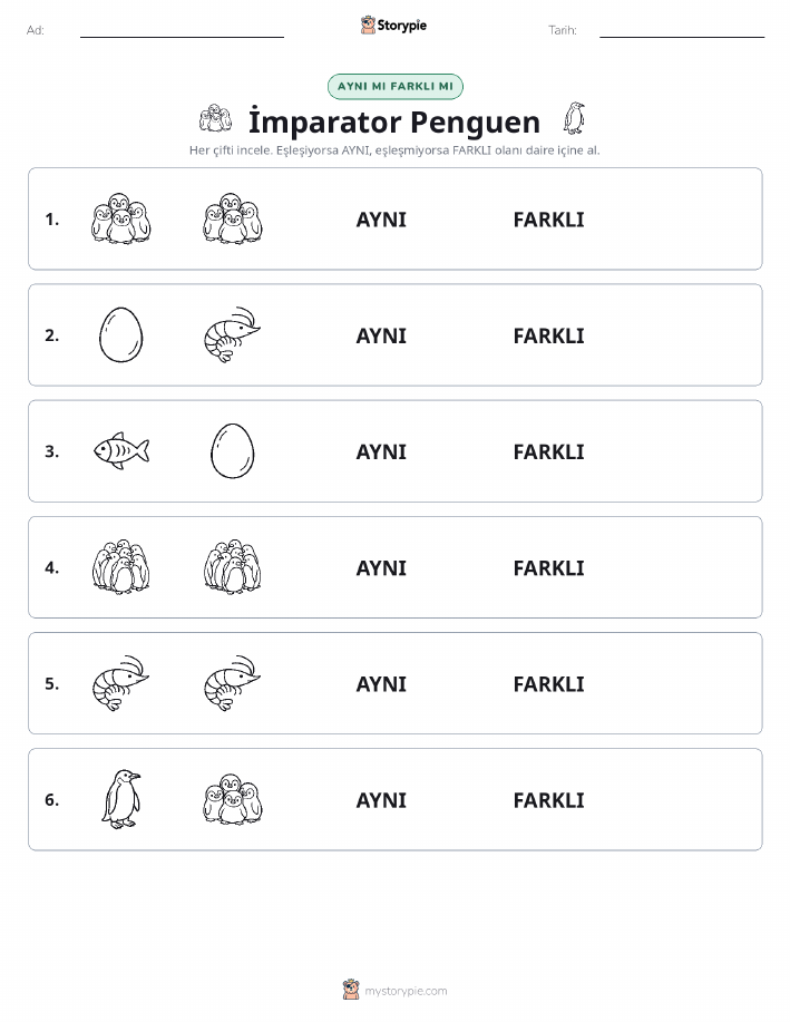 Aynı mı Farklı mı