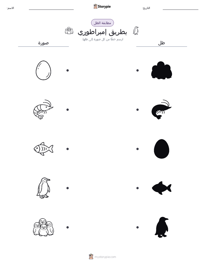 مطابقة الظل