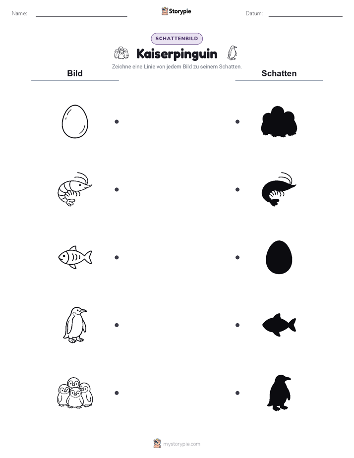 Schattenmatch