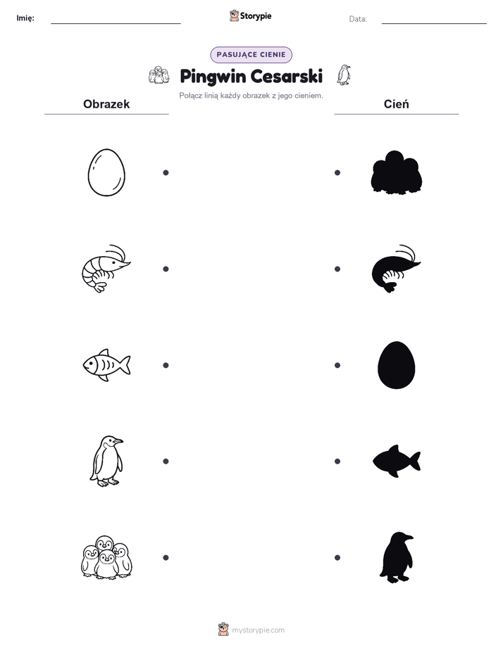 Dopasowanie cieni