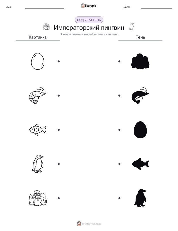 Сопоставление теней