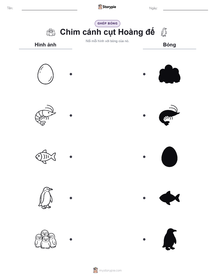 Ghép Hình Bóng