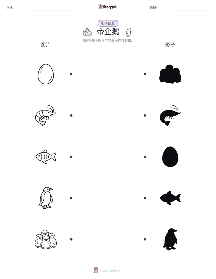 影子匹配