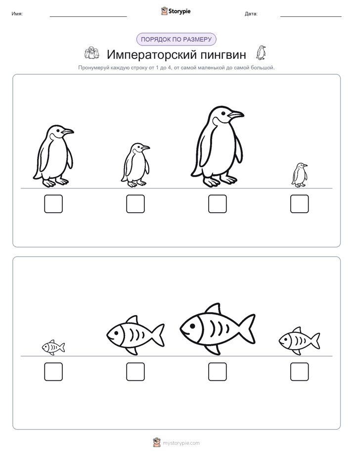 Размеры в порядке