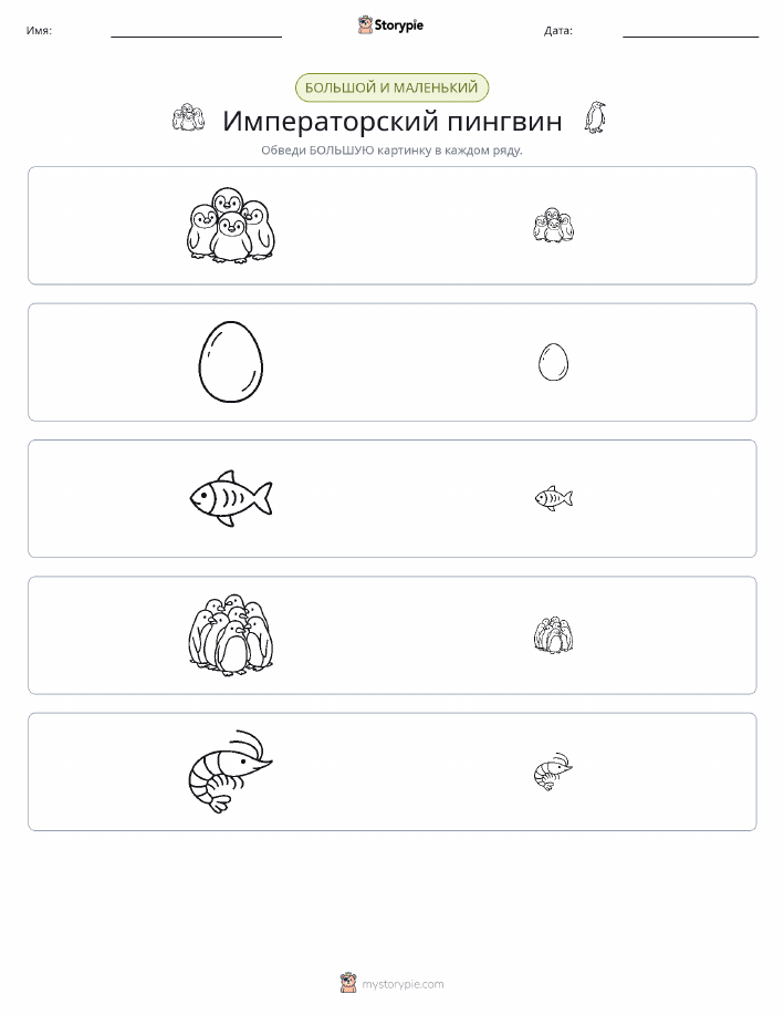 Сортировка