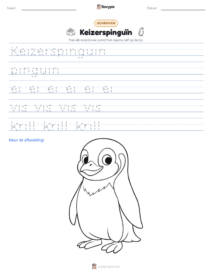 Schrijf Oefening