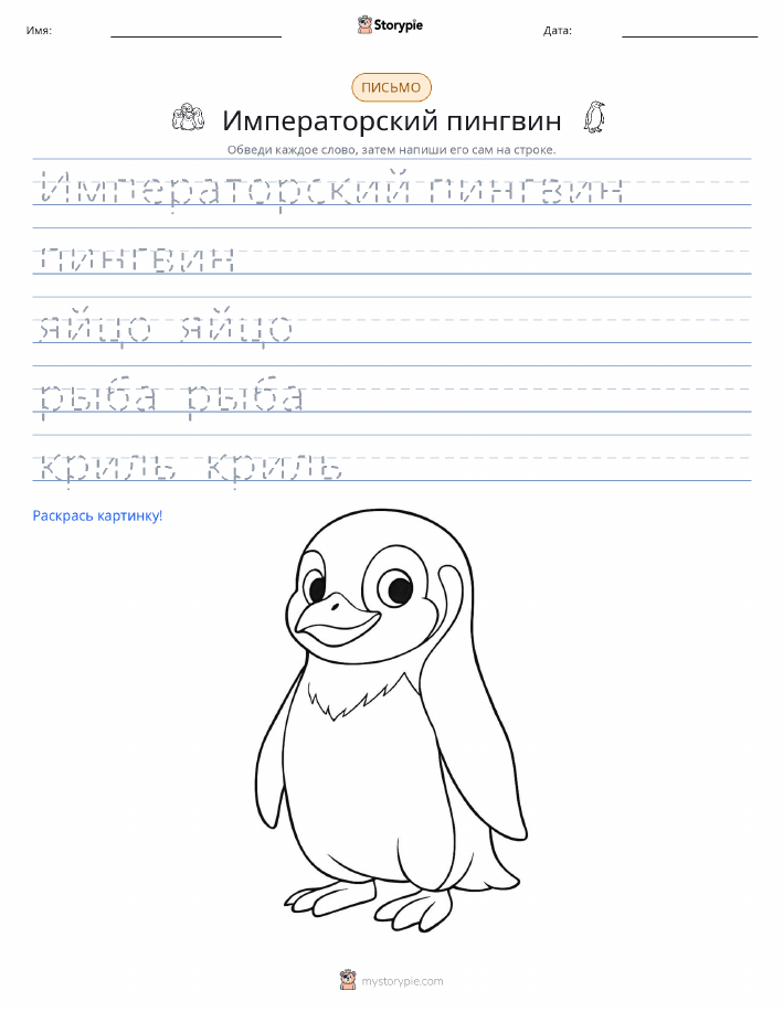 Практика письма