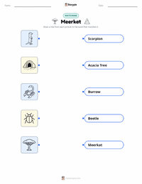 Meerkat printable worksheet for kids