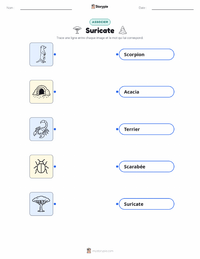 Feuille de travail imprimable Suricate pour les enfants