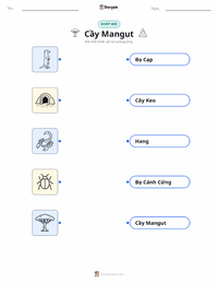 Tài liệu in sẵn Cầy Mangut cho trẻ em