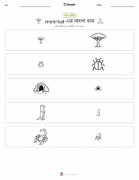 মীরক্যাট মুদ্রণযোগ্য কাজের পৃষ্ঠার প্রিভিউ