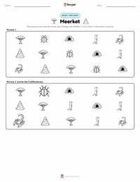 Meerkat printable worksheet preview