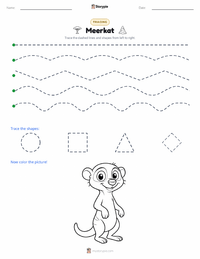 Meerkat printable worksheet preview