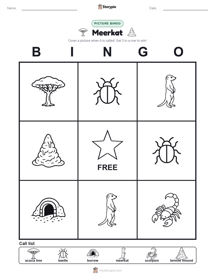 Picture Bingo