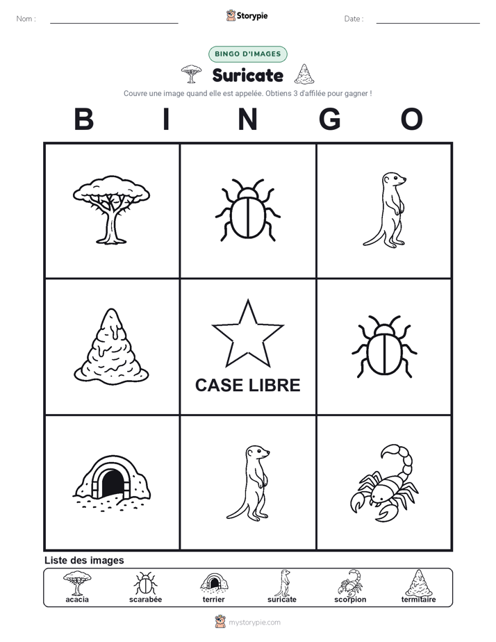 Bingo d'Images