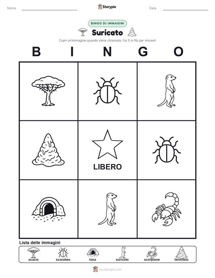 Bingo delle Immagini