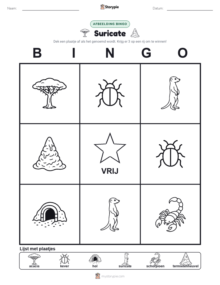 Afbeelding Bingo