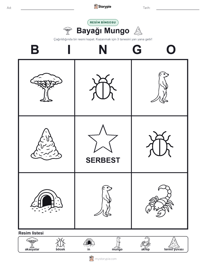 Resim Bingo