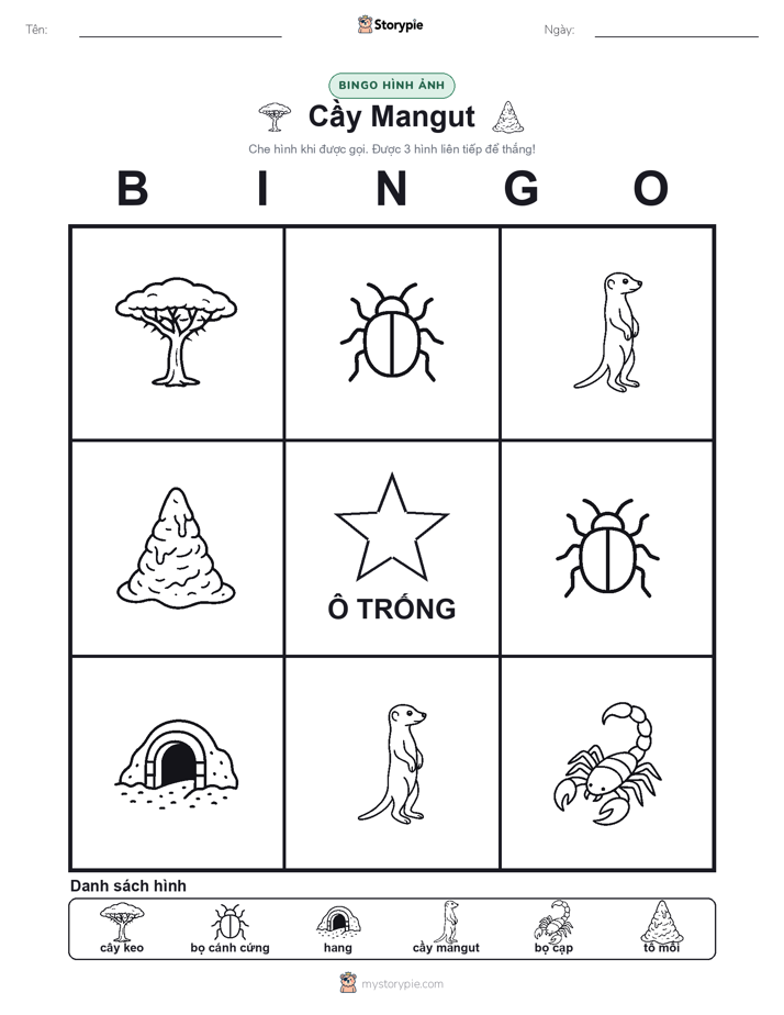 Bingo Hình Ảnh