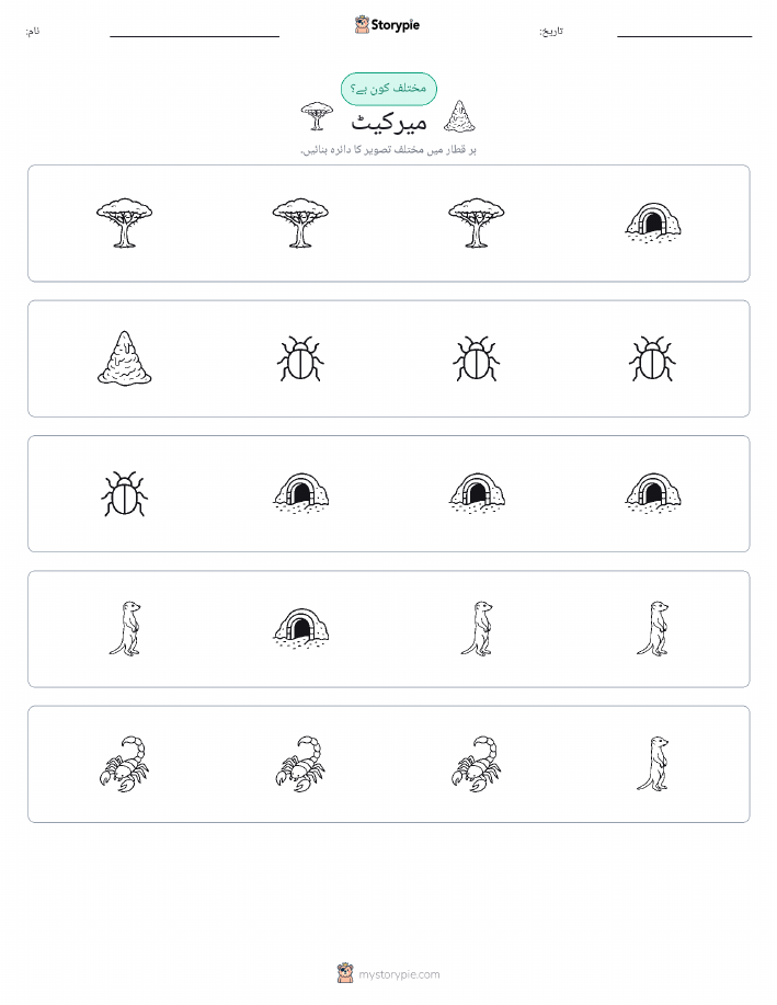 عجیب ایک