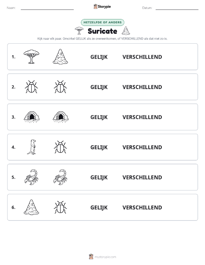 Zelfde of Verschillend