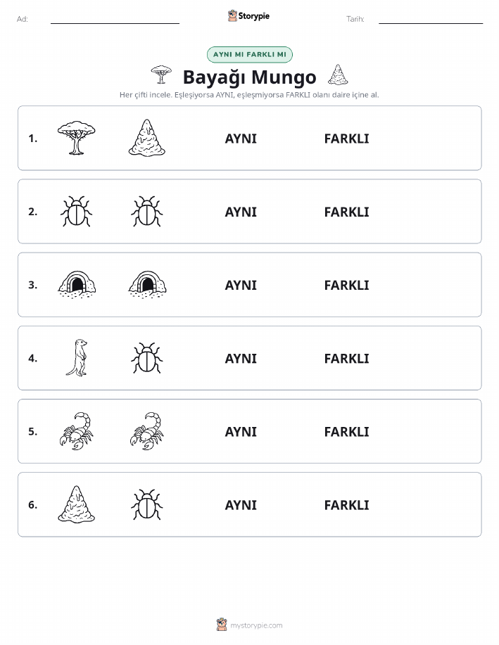 Aynı mı Farklı mı